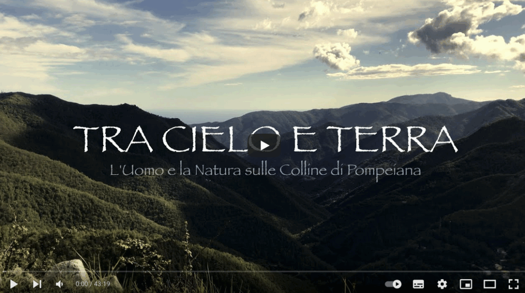 a landscape of a mountain range