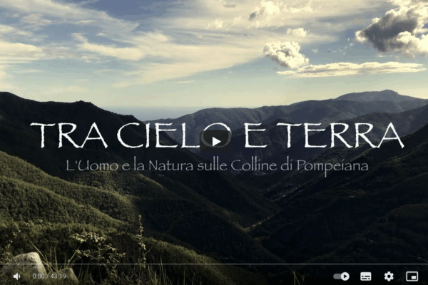 a landscape of a mountain range